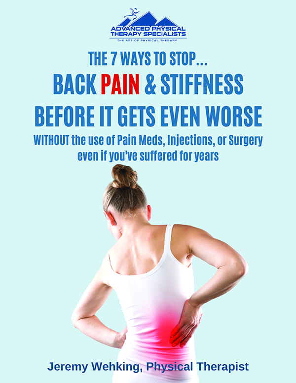 Guide, Physical Therapy Guide to Low Back Pain